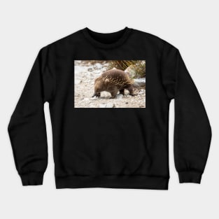 Echidna, Cradle Mountain, Tasmania Crewneck Sweatshirt